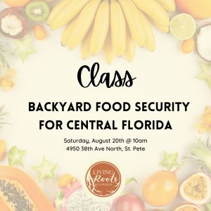 Class – Backyard Food Security